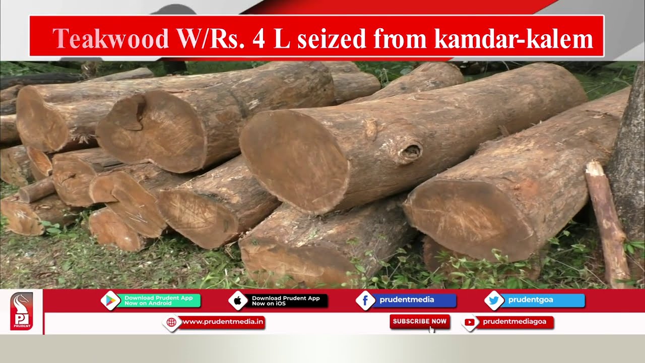 MOLLEM WILDLIFE SANCTUARY FOREST DEPT ARREST ONE PERSON FOR ILLEGALLY CUTTING WOOD FROM KALYA
