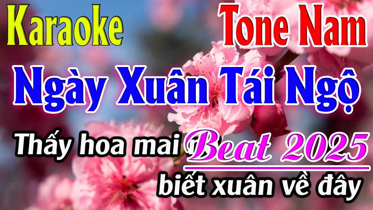 Ngày Xuân Tái Ngộ Karaoke Tone Nam ( Abm ) Karaoke Lâm Organ