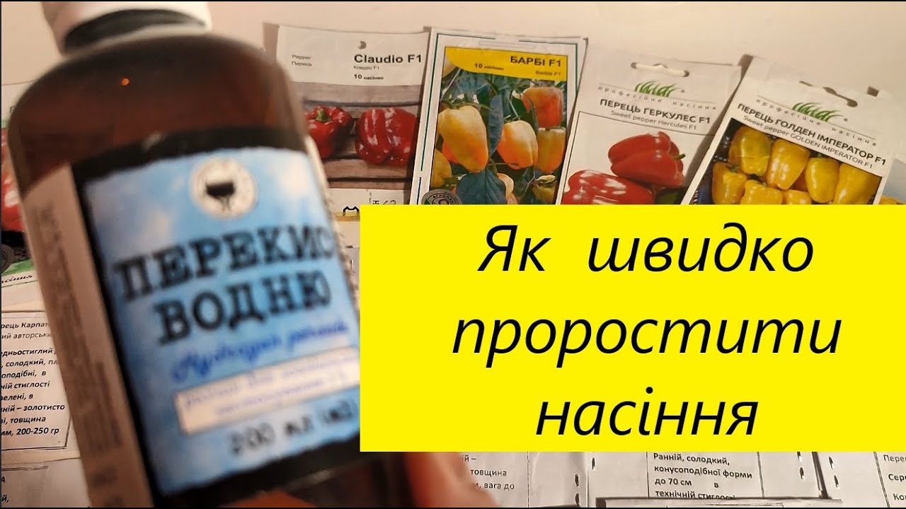 ПЕРЕКИС  ВОДНЮ  -  ШВИДКЕ ПРОРОЩУВАННЯ ТА  ЗНЕЗАРАЖЕННЯ НАСІННЯ