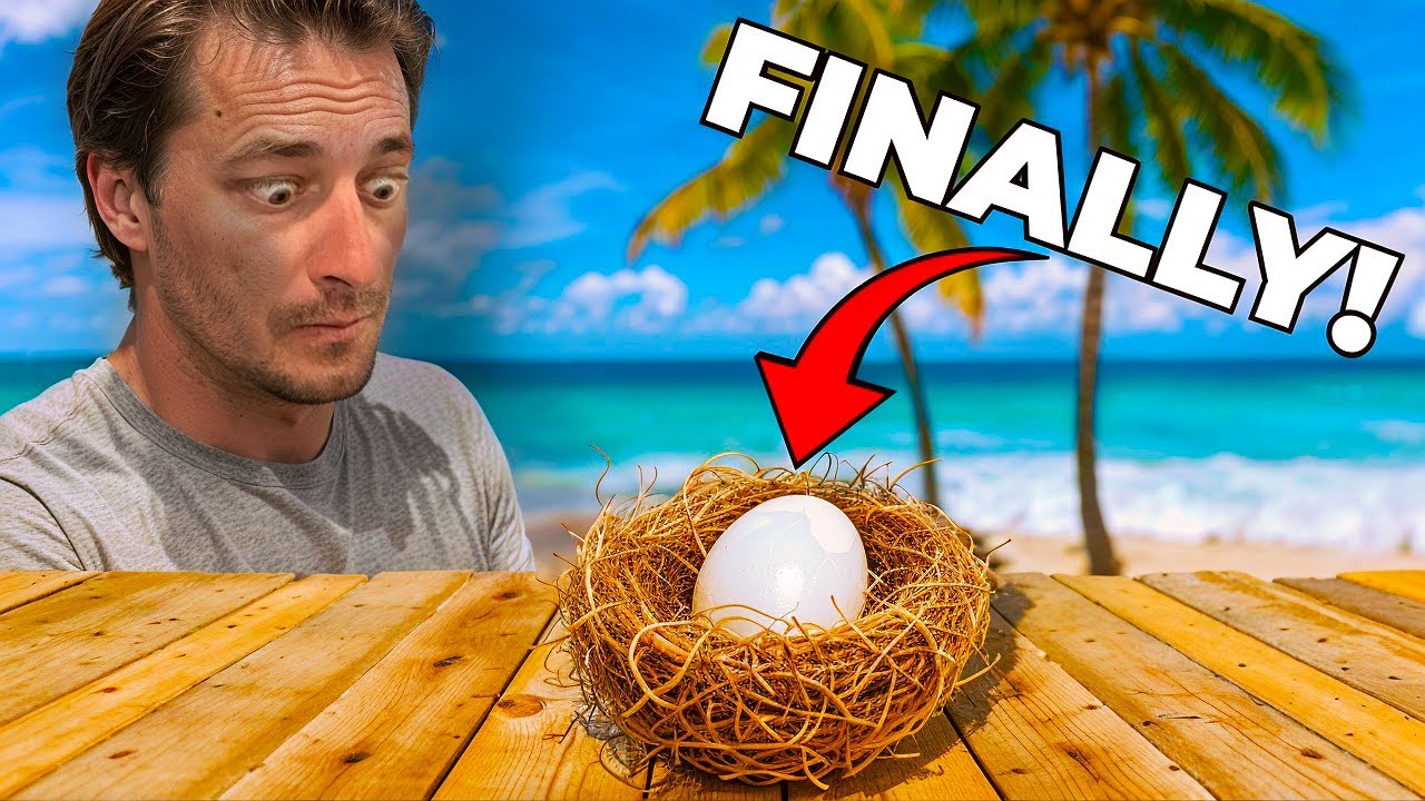 I grew an Egg! How To: Step by Step My 1st chicken egg