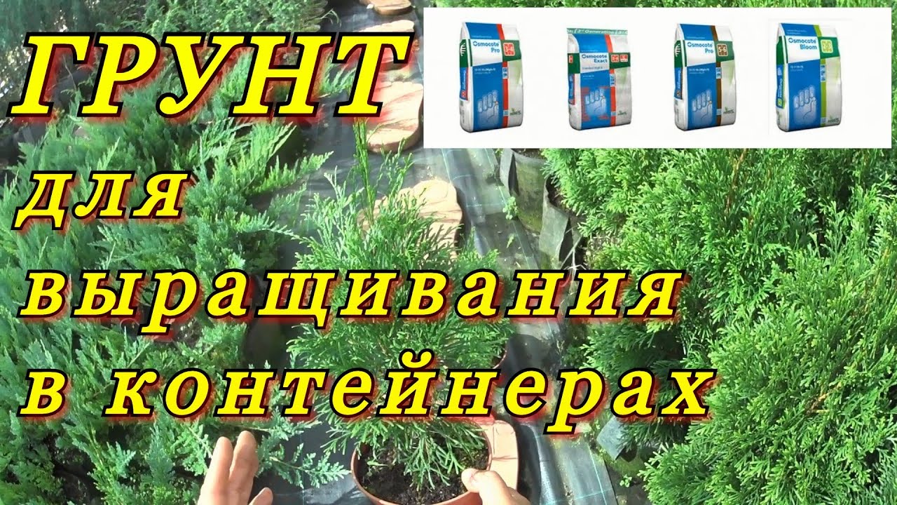 ГРУНТ (почва) для выращивания декоративных растений в контейнерах (в горшках).