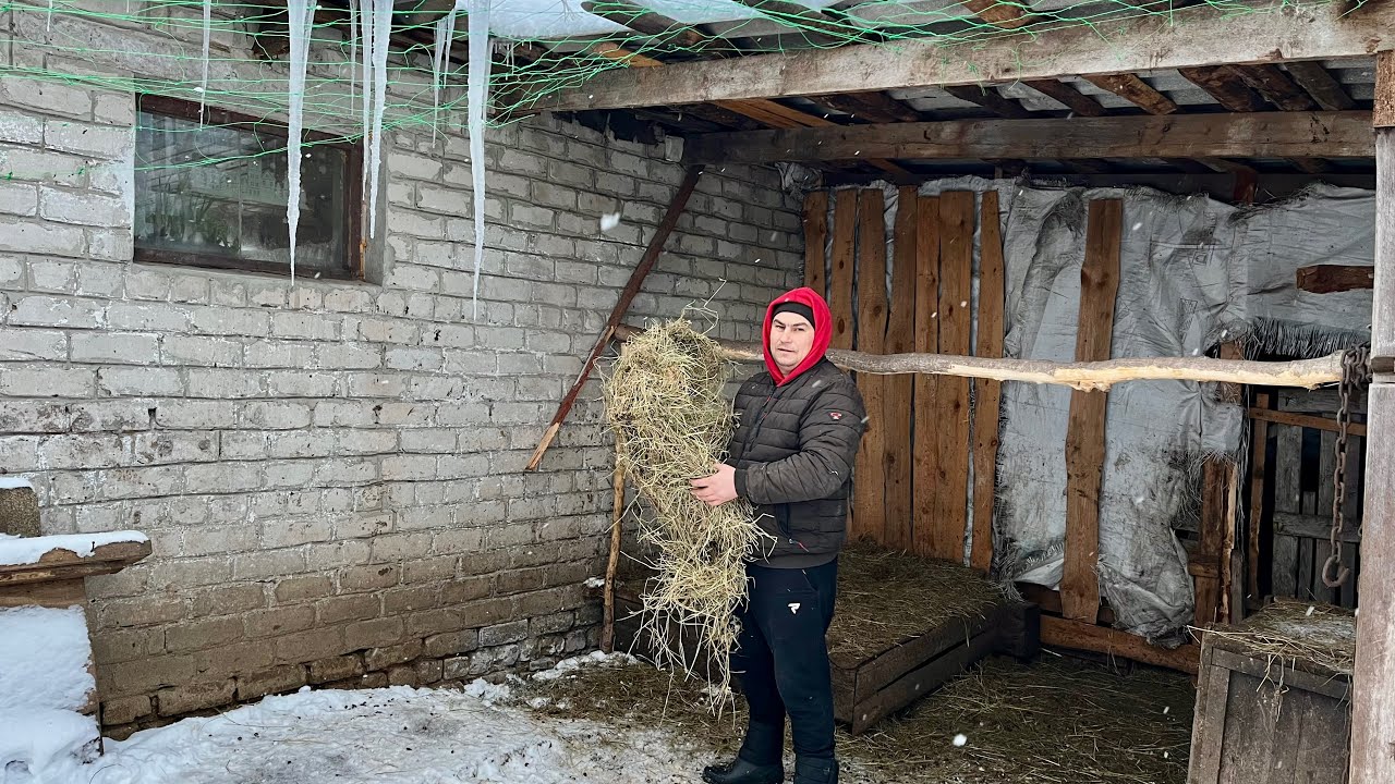 Она не покрыта! Они здесь не живут. 