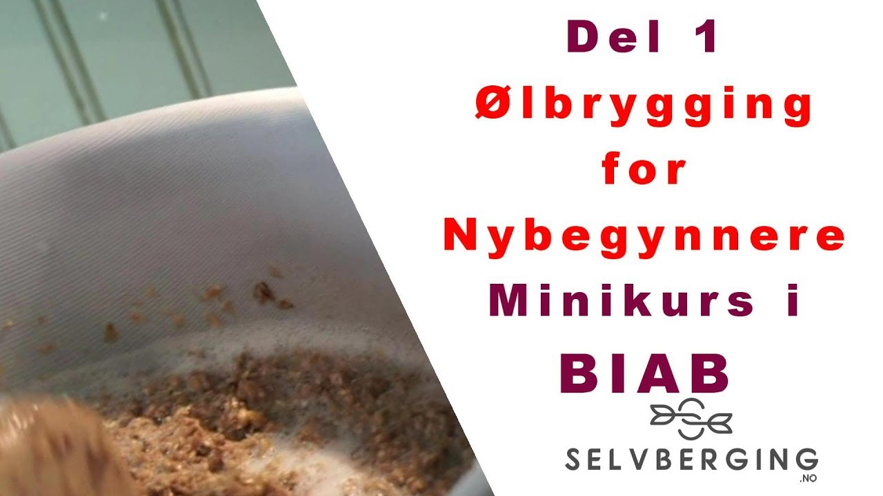 &Oslash;lbrygging for nybegynnere - minikurs i BIAB