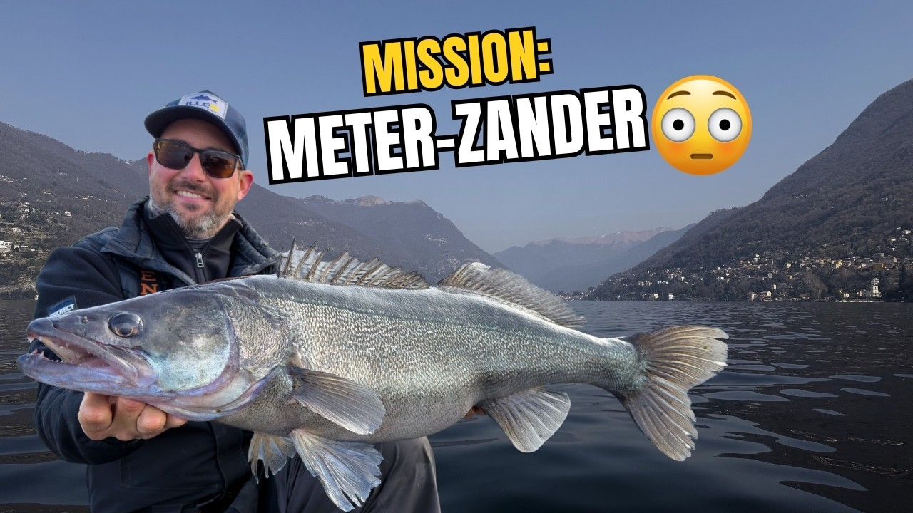 Die Jagd nach dem MONSTER-ZANDER in Italien 🇮🇹 😳