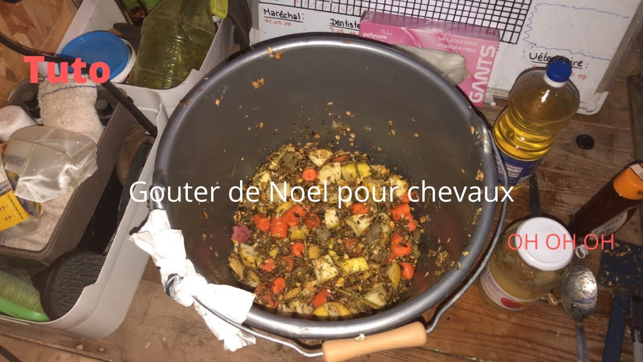{Tuto} Goûter de Noël pour chevaux 🎄🎅🏻