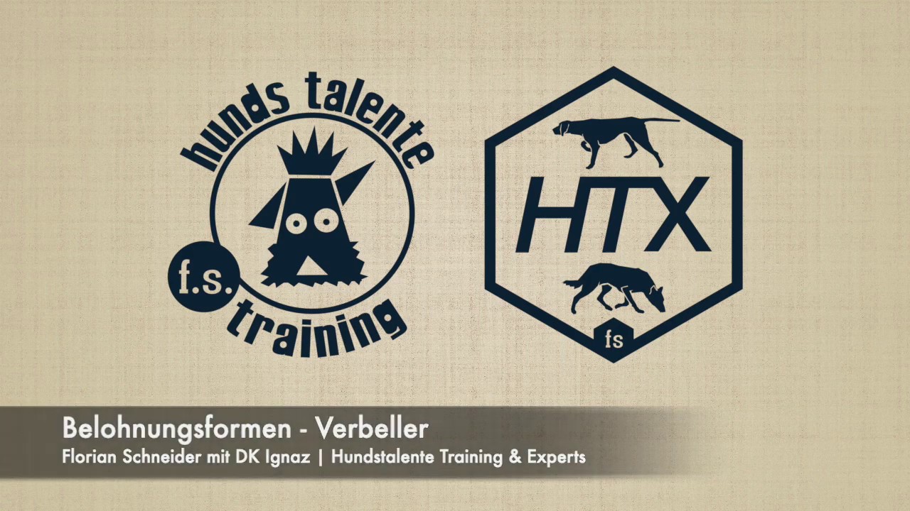Belohnungsformen Verbeller - Rettungshund