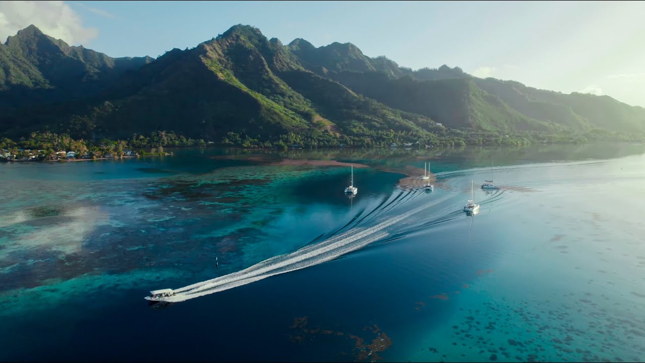 Why I'm Coming Back EVERY Year | MO'OREA, FRENCH POLYNESIA