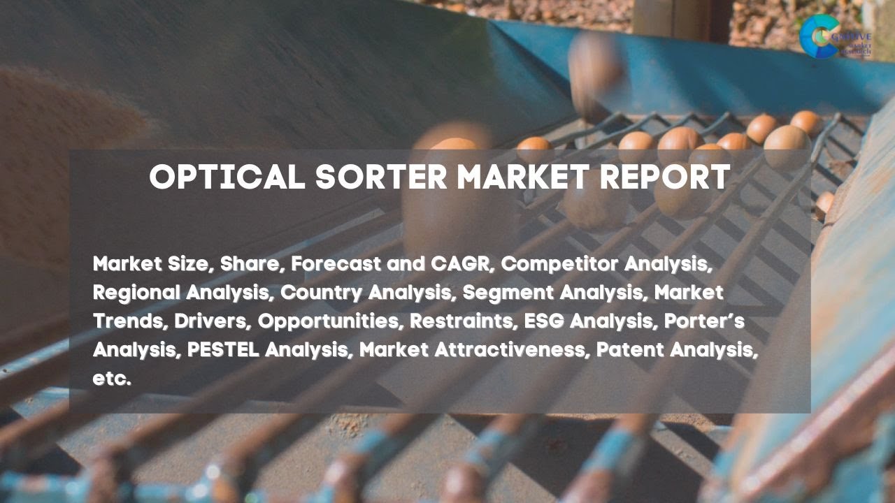 Optical Sorter Market Report 2024