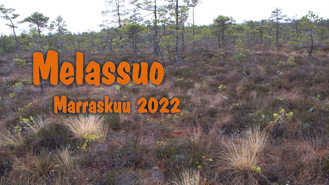 Melassuo, marraskuu 2022