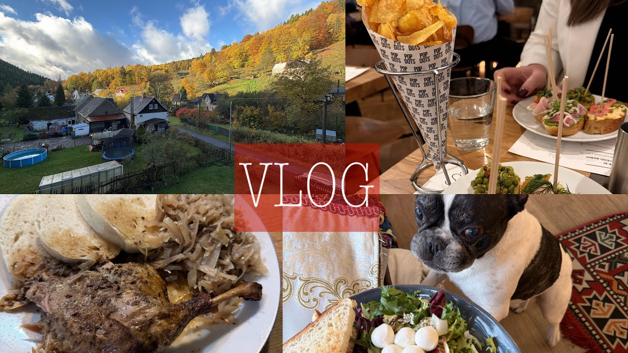 VLOG // Bistro Špejle 🍡, oslava Jarunky🎂, kosmetika 