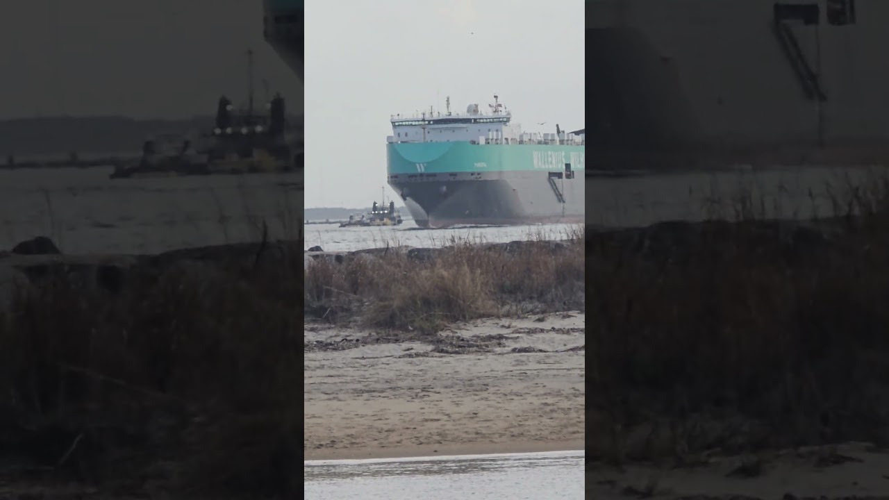 In the Surf; Fort Monroe Virginia Outlook Beach 