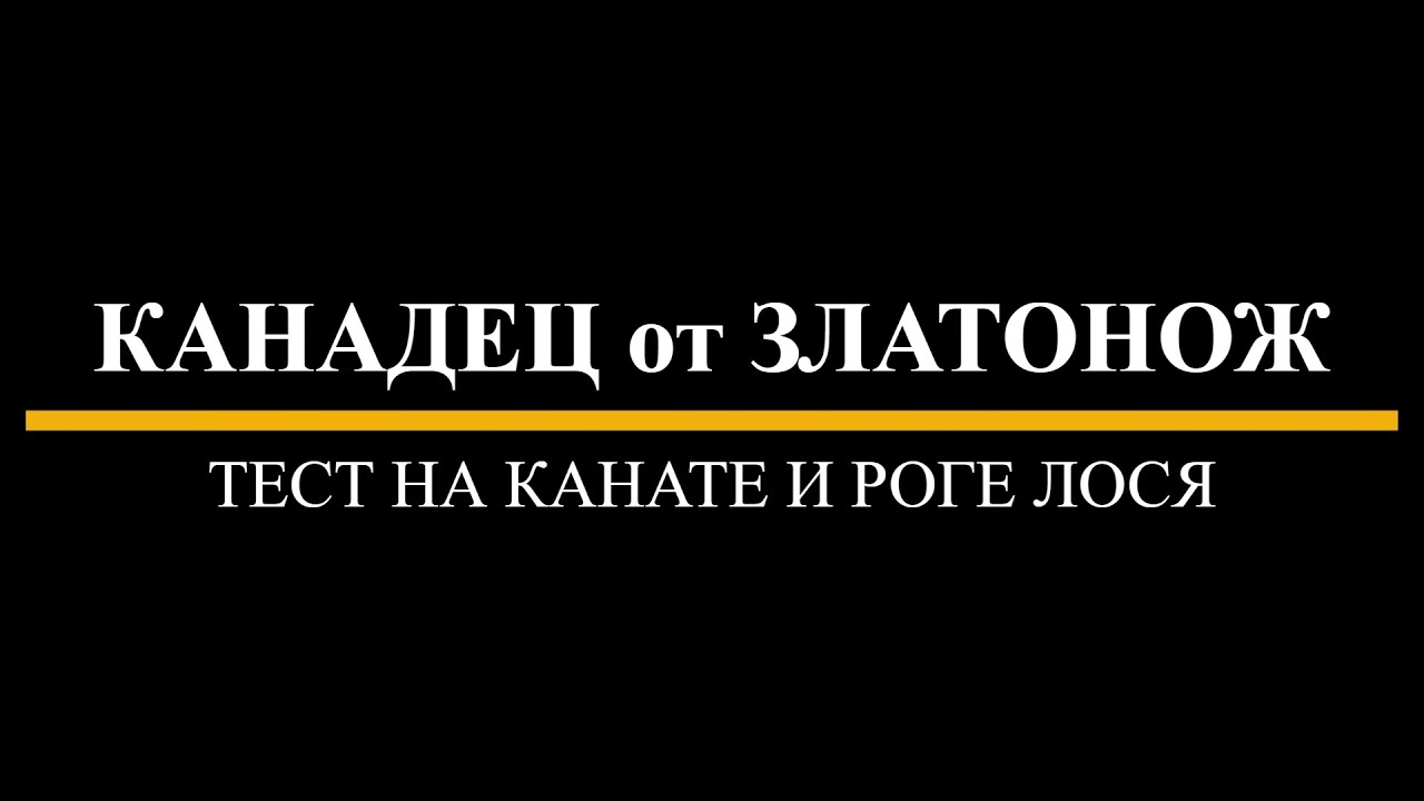 Канадец от Златонож (N690) — тест на канате и роге лося