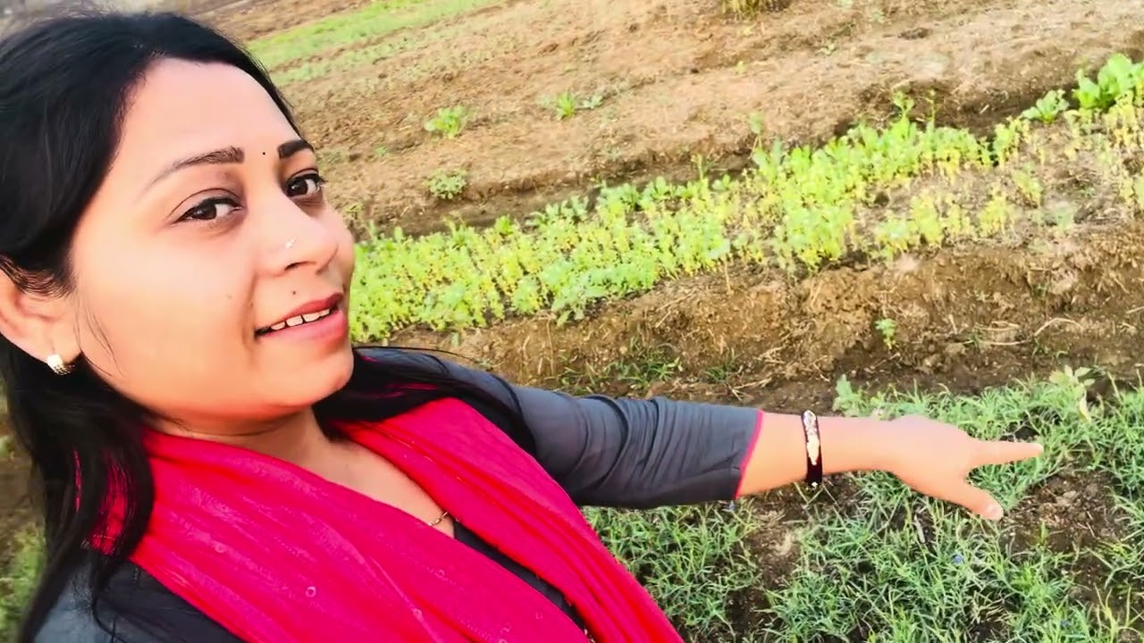wow 🥬हरी हरी सब्जियां #minivlog #vlogs Bachche Ne Toda Sabji #ekmotahathighumechala 