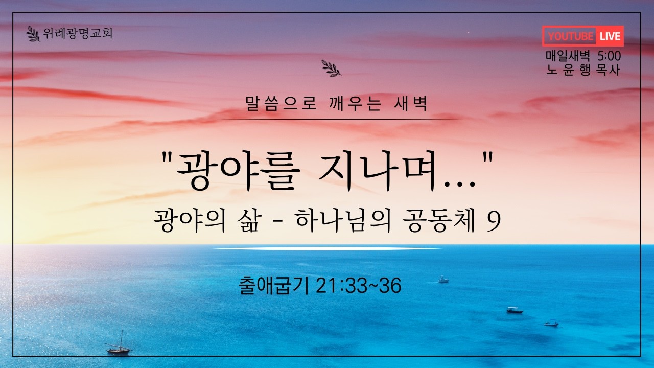 20260225 새벽예배. 광야를 지나며(광야의 삶-하나님의 공동체 9). 출애굽기 21장 33절 ~ 36절. 위례광명교회 노윤행 목사