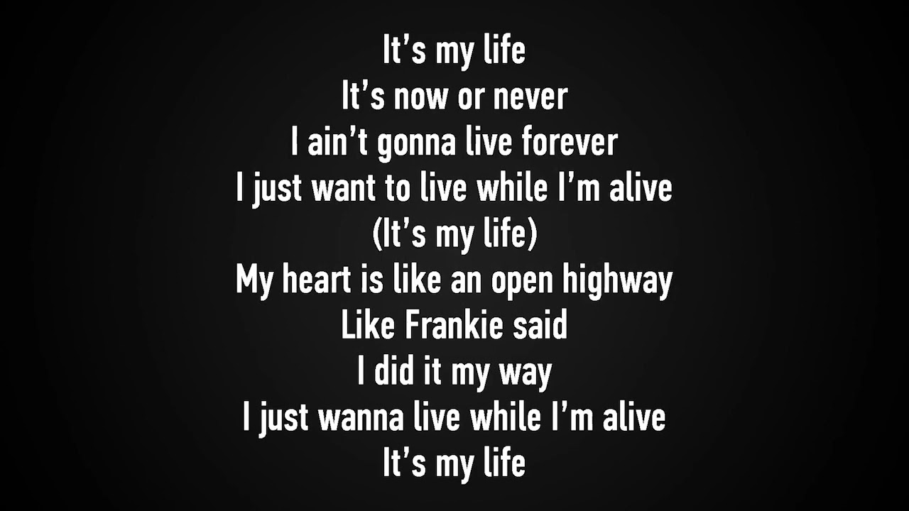 Bon Jovi - It's My Life Karaoke (with Back Vocal)