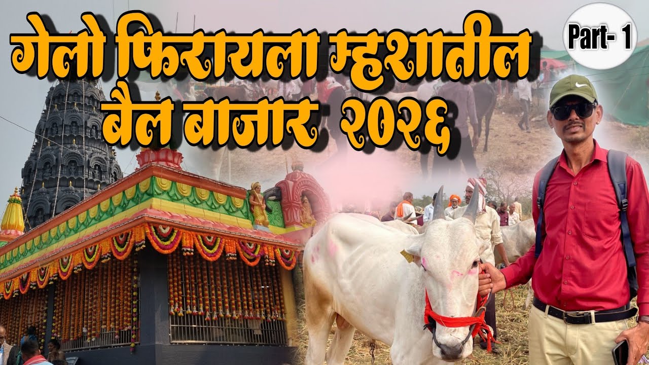 #म्हसा यात्रा २०२६ बैल बाजार Mhasa Yatra 