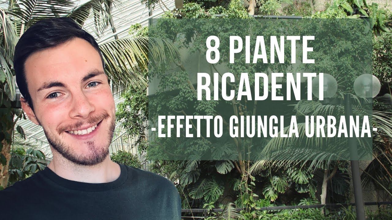 8 PIANTE RICADENTI - EFFETTO GIUNGLA URBANA