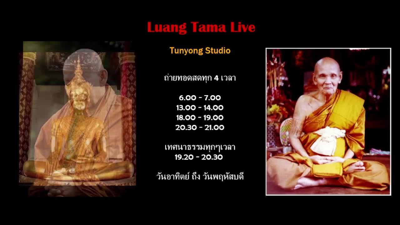 หลวงตาม้าถ่ายทอดสด วัดถ้ําเมืองนะ เชียงใหม่ Live Stream