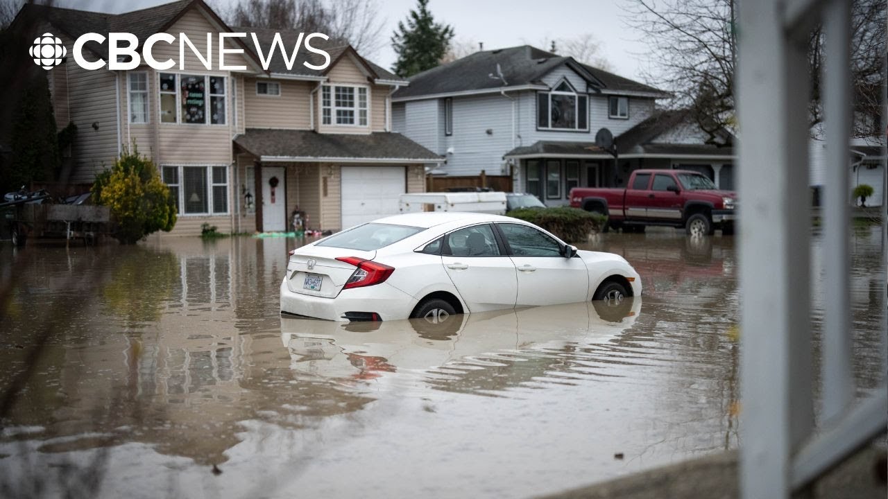 Flooding in Fraser Valley expected to peak today