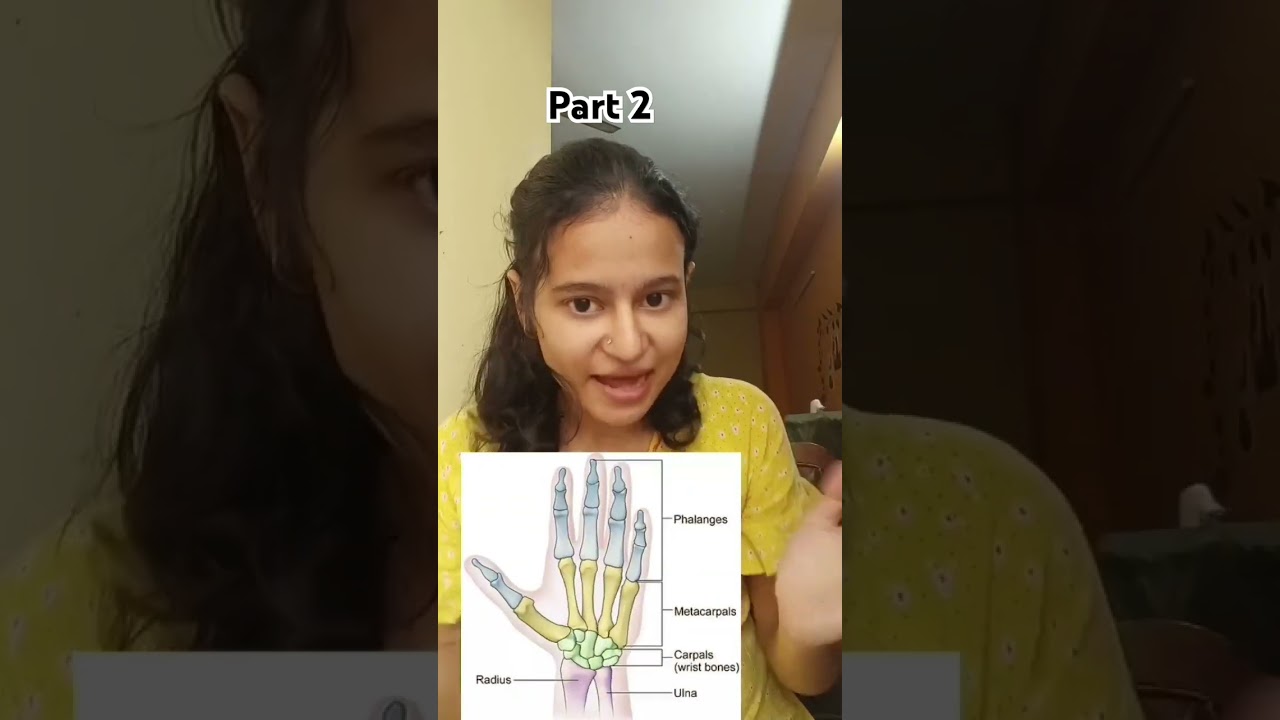 Bones of hand ✋🏻part 2 (of upper limb) #shorts #anatomy #physiotherapy  #wristanatomy #handanatomy