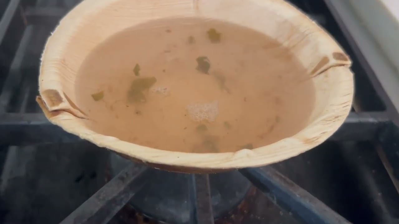 Proof Eco Soul Palm Leaf Bowls Can Hold Boiling Water