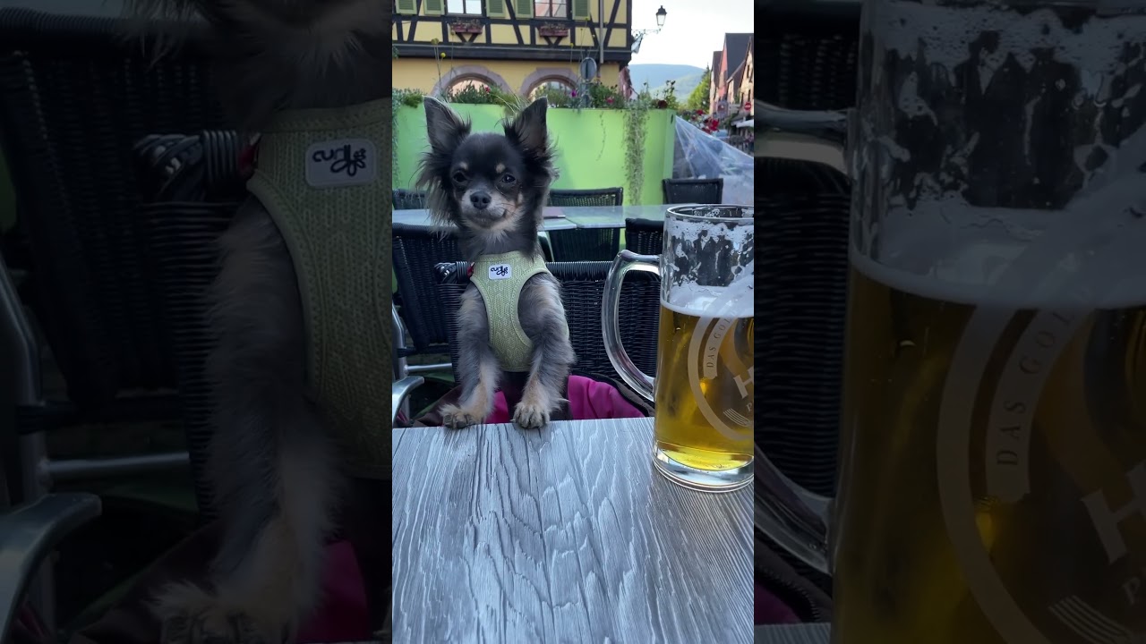 Umi&hellip; Bier bitte !