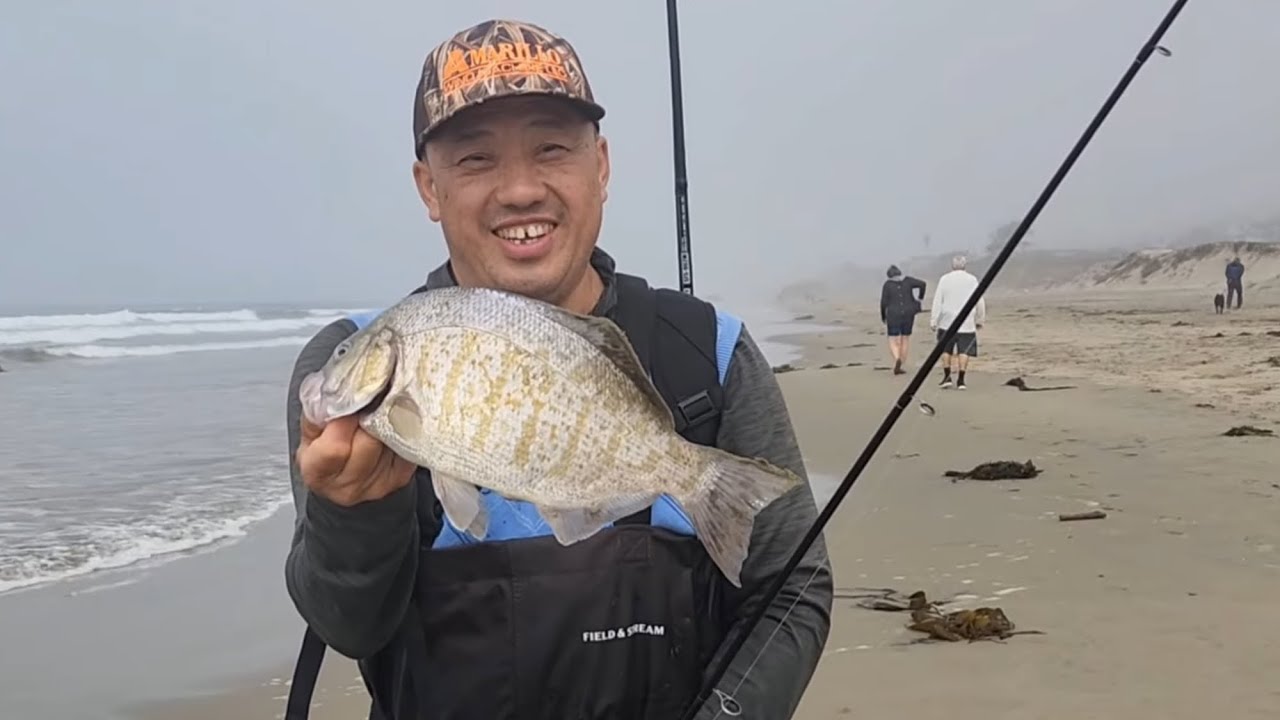 Hot action surf perch fishing / nuv ntses