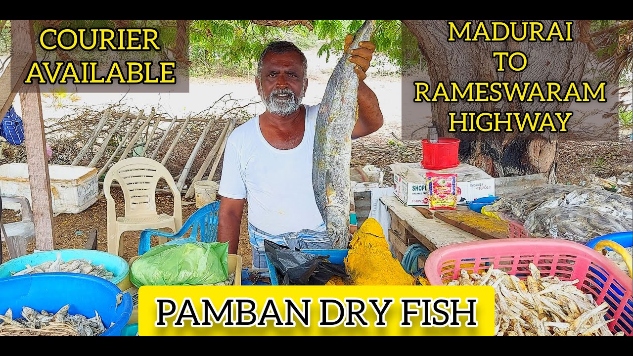 Dry Fish Stall | Pamban Dry Fish Shop | Rameswaram to Madurai Highway