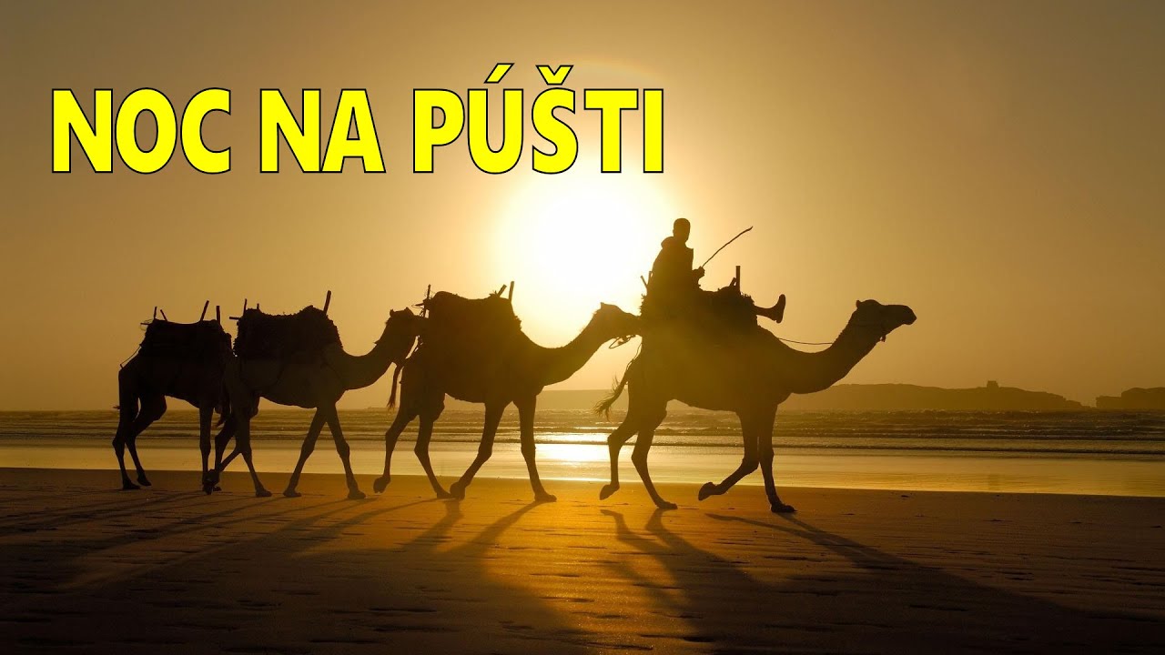 NOC NA PÚŠTI | Africký Hollywood | SKORO SOM UMRELA! 😯🐍