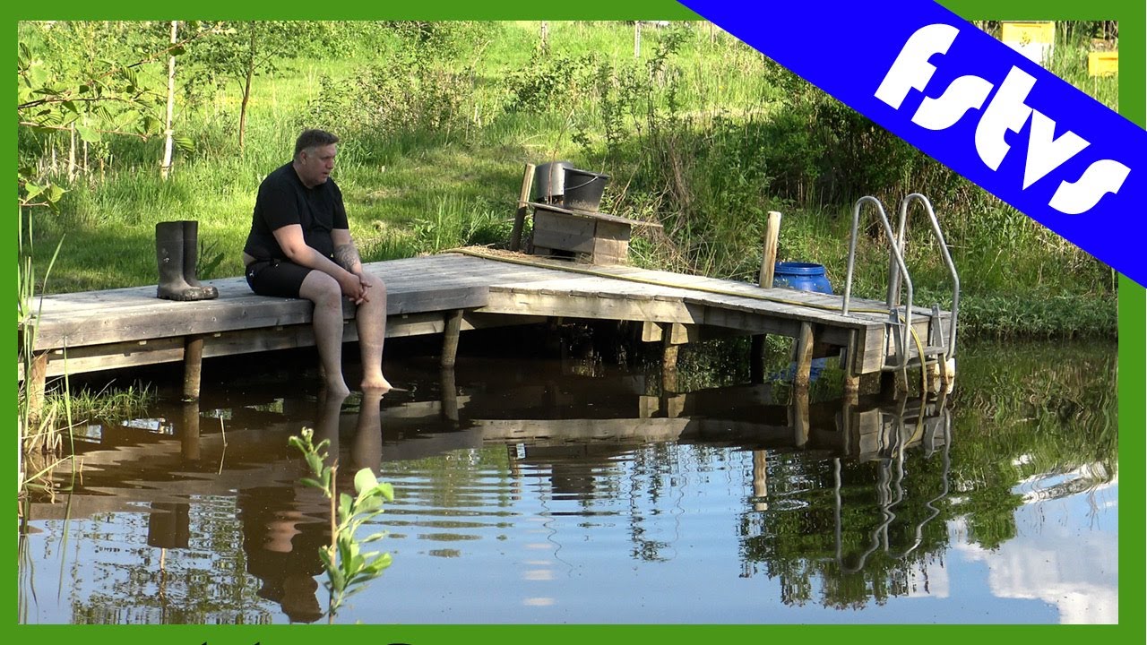 Sommarkväll vid dammen