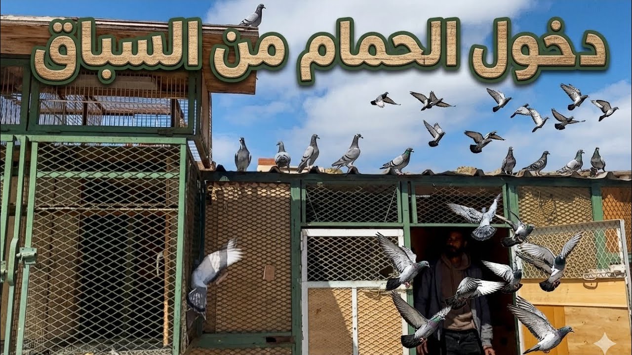 دخــــــــول نااااري من سباق سيد المختار… بطل اللوفت رجع بالقوة 🕊️💪🔥