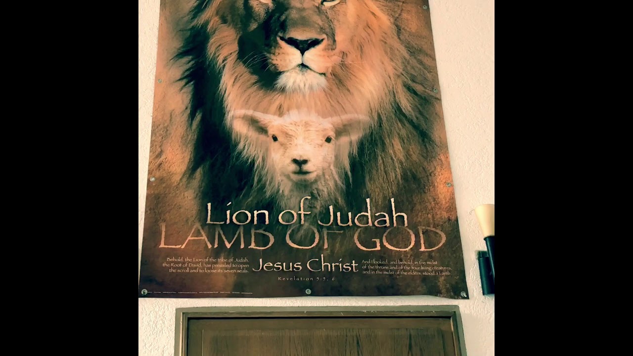 Der Löwe und das Lamm  Gemeinde Gott Erleben