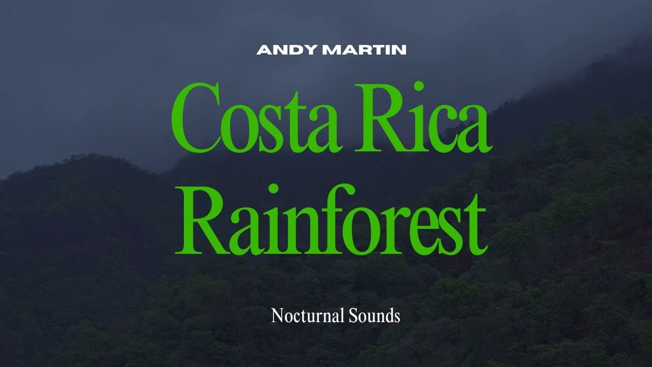 Costa Rica Rainforest - Midnight Insect Chorus - Nature sounds for sleep