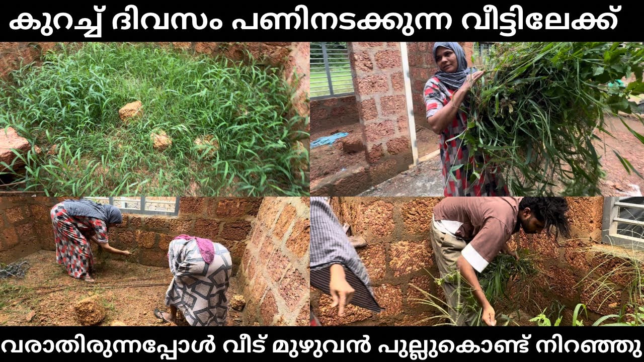 കുറച്ച് ദിവസം പണിനടക്കുന്ന വീട്ടിലേക്ക്   വരാതിരുന്നപ്പോൾ വീട് മുഴുവൻ പുല്ലുകൊണ്ട് നിറഞ്ഞു