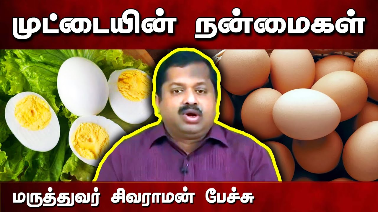 கோழி முட்டையின் நன்மைகள்🥚🐔 Dr. Sivaraman speech in Tamil | Chicken Egg | Health | Tamil speech box