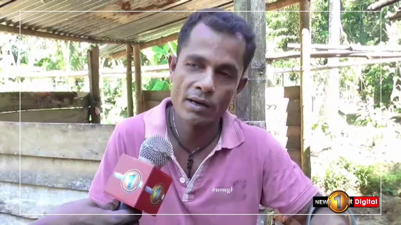 වගාවෙන් ජීවිතය දිනන ආබාධිත රණවිරුවෙක් | Wagaawen Jeewithaya Dinana Abaditha Ranawiruwek