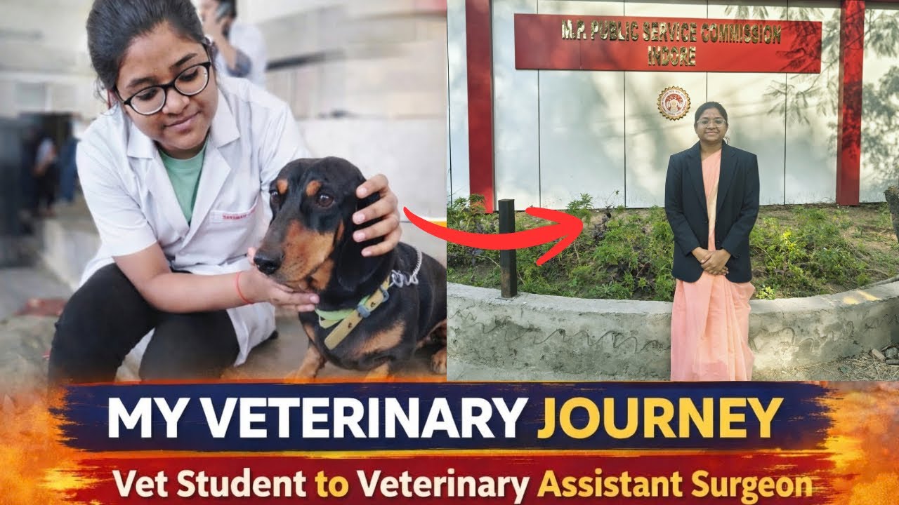 From a veterinary student to Veterinary Assistant Surgeon 🩺🐾| My vet journey👩&zwj;⚕️#govermentjob ✨