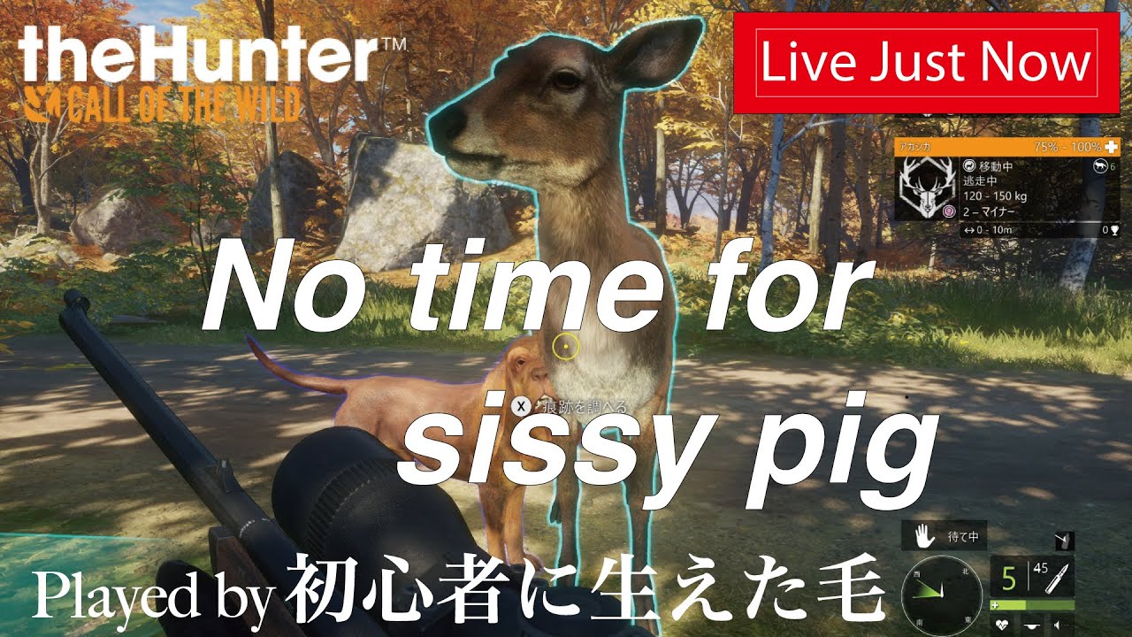 「 #theHunterCalloftheWild / #ザハンターコールオブザワイルド 」獣の糞になる覚悟は出来ているんだろうな？117 #shorts
