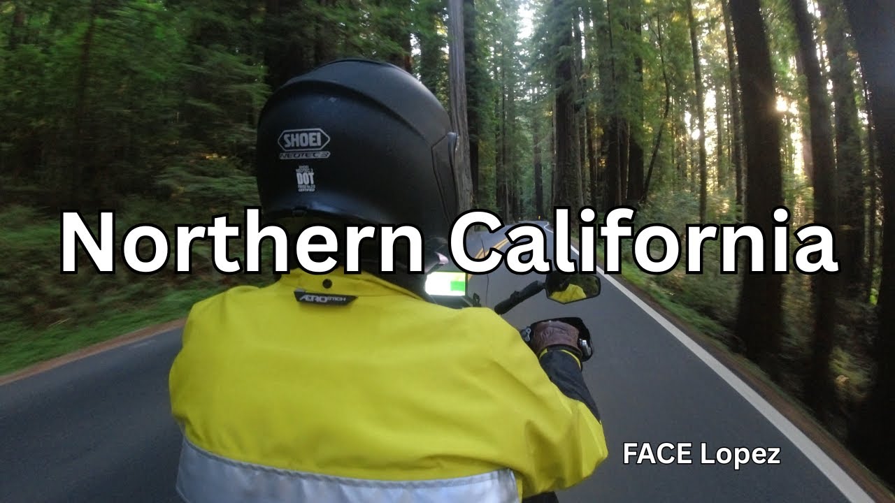 Transalp goes through Eureka, CA, Fortuna and Redwood Forest