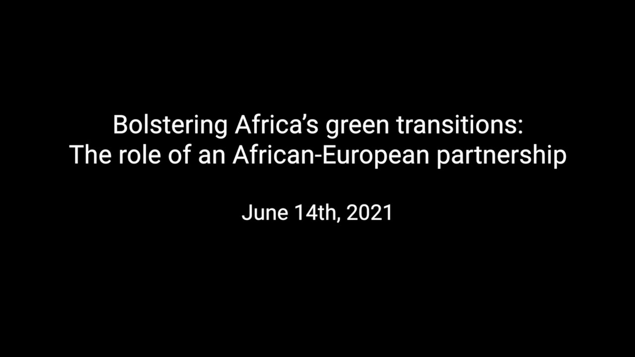 Bolstering Africa&rsquo;s green transitions: The role of an African-European partnership