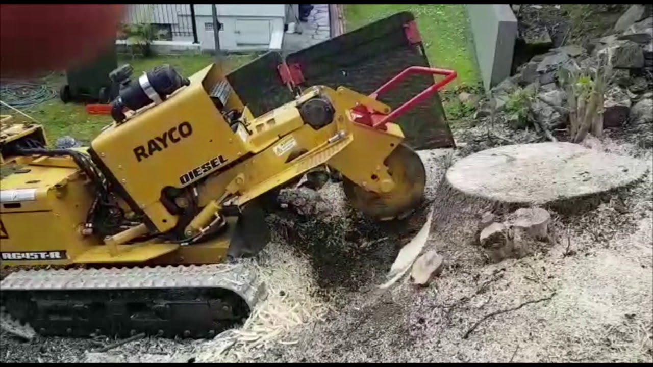 The Daily Grind Rayco RG45-T in action