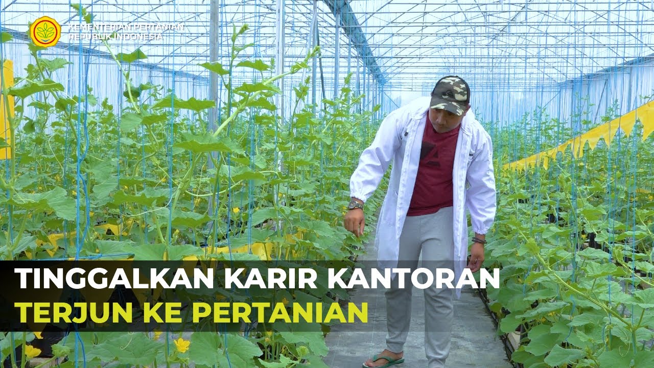Inspirasi Milenial Sukses Bertani Melon Secara Modern