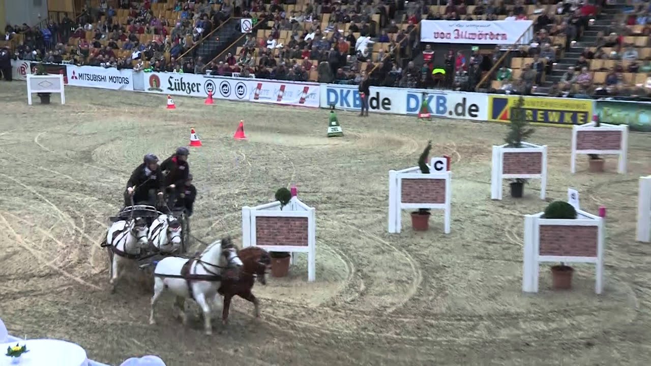 CSI Schwerin Sonntag - F2 28 Prüfung Pony - Vierspänner - Jan de Boer