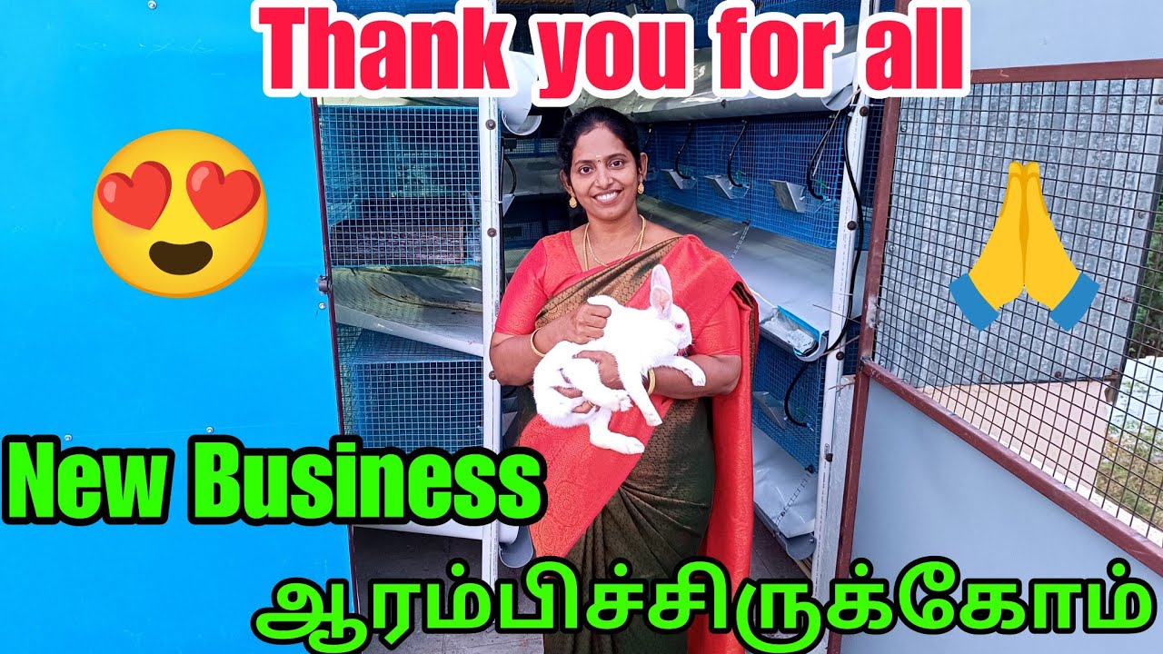புதுசா முயல் பண்ணை🐰தொடங்கி இருக்கோம்🙏 New Business😍Rabbit🐇Farm #karthikgowri