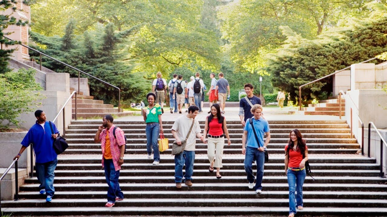 Australian student visa system a 'giant scam'