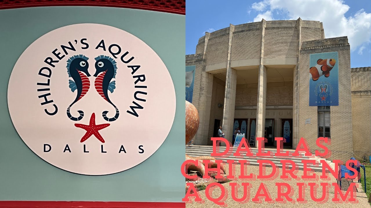 DALLAS CHILDRENS AQUARIUM | FAMILY VISIT EXPERIENCED 2024