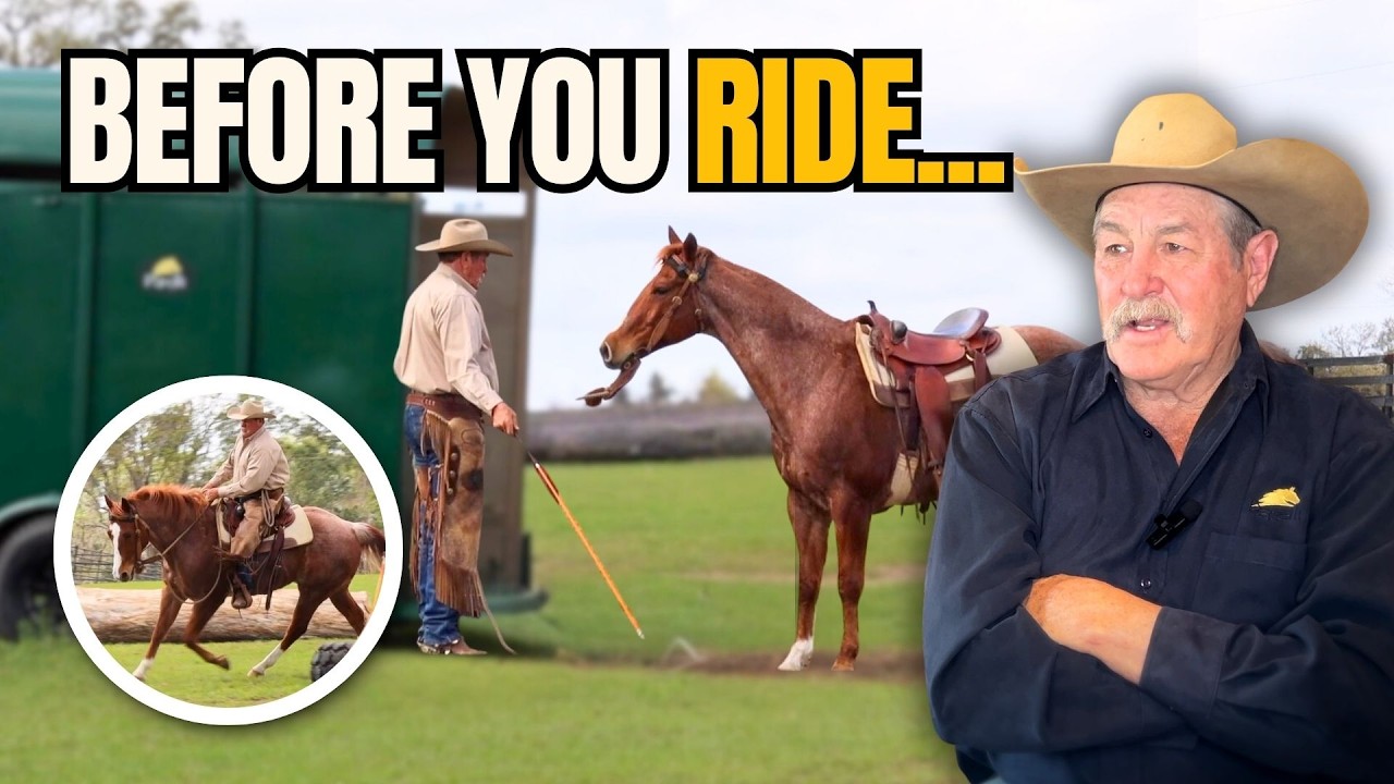 Pat Parelli Analyzes His First Ride with a New Horse | Why Groundwork Comes First