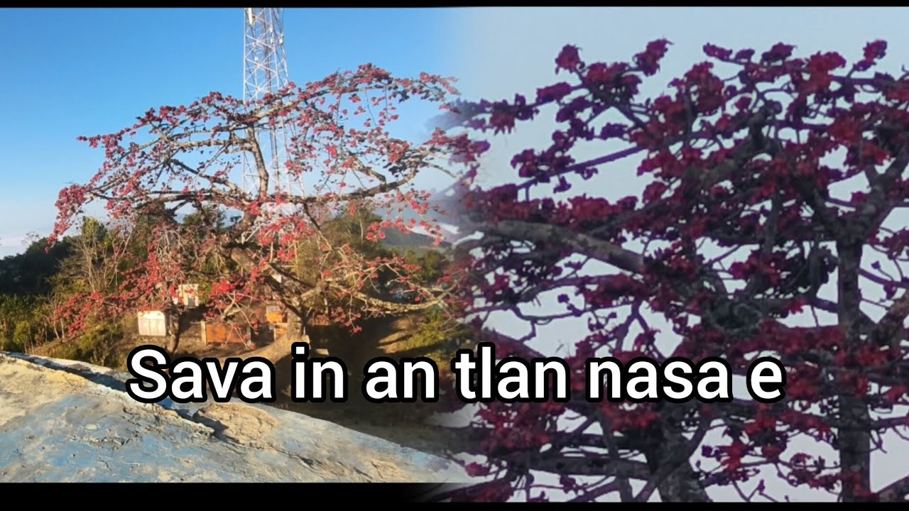 Phunchawng leh a par tlantu Sava chi hrang hrang/// thlir kual ang aw///