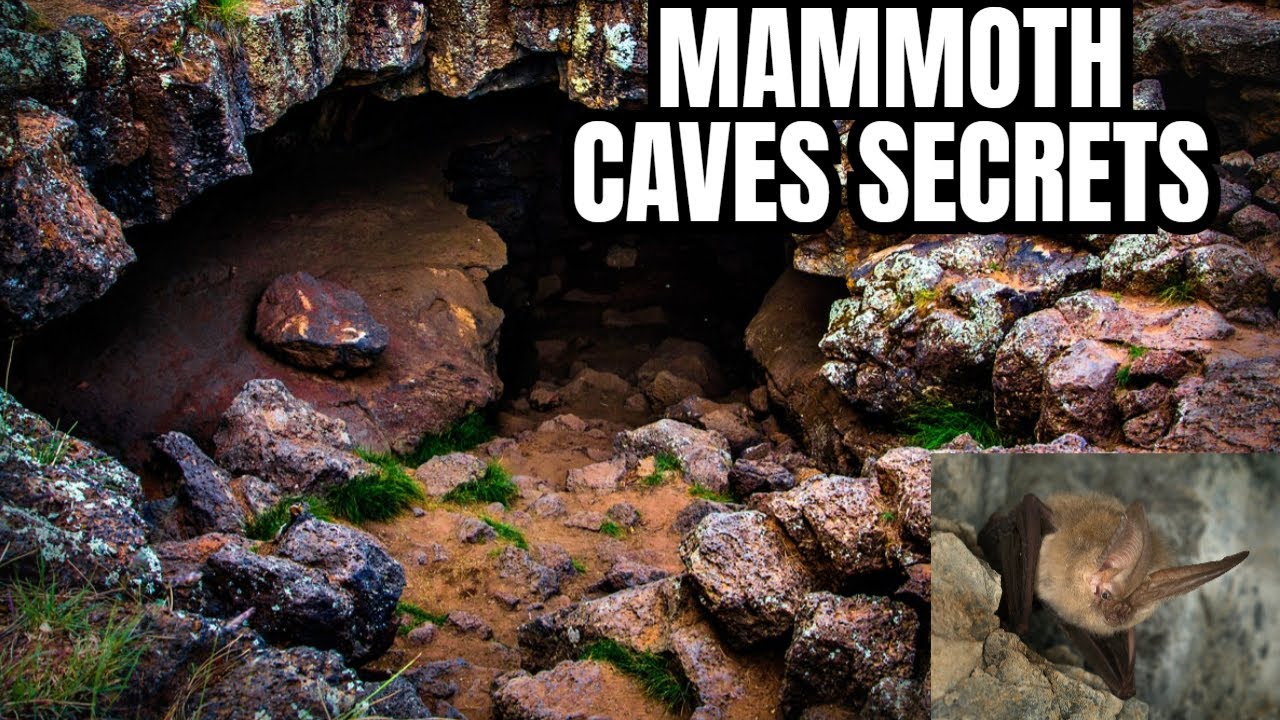 Discover the Hidden Wonders of Mammoth Caves: Lava Tubes & Bats!