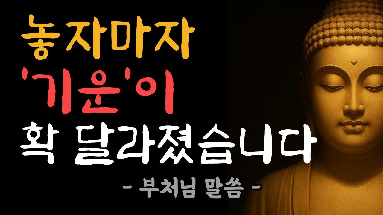 놓는 순간, 복이 몰려왔습니다   부처님 말씀   염불 수행   기운이 바뀌는 순간   삶의 지혜